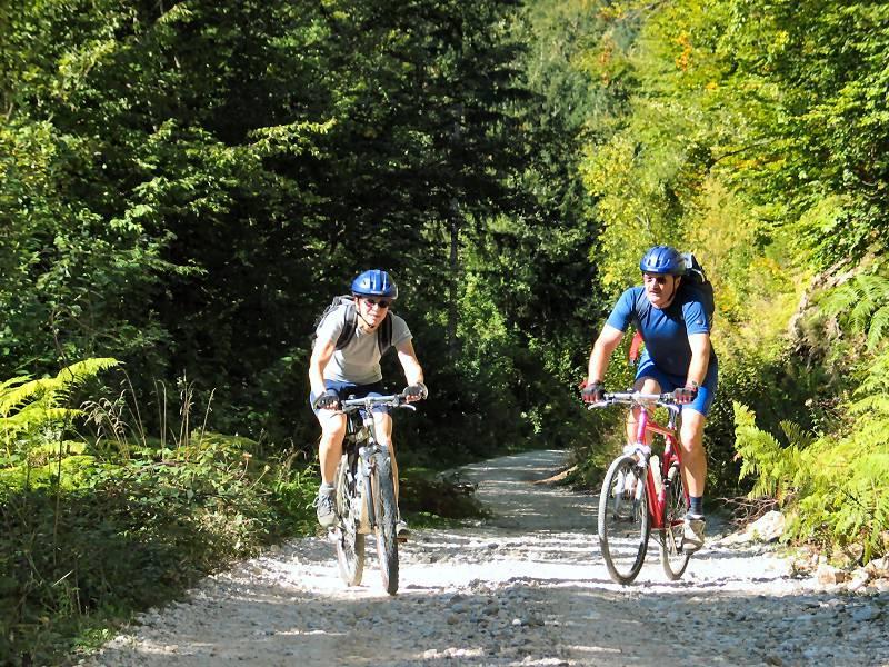 Mavrica * Bohinj